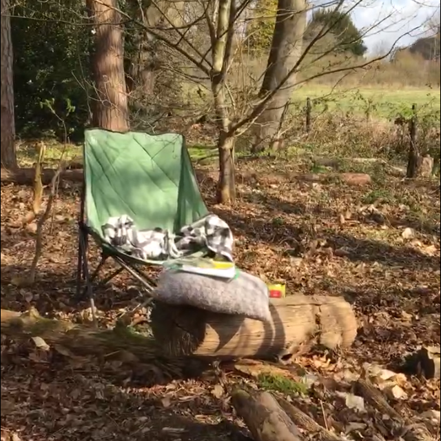 A relaxing spot in the forest from one of our retreats